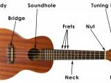 ukulele 